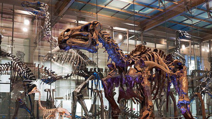 Galerie des Dinosaures. Courtesy of Royal Belgian Institute of Natural Sciences