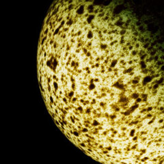 Habitable. Courtesy of Centro Municipal de Arte Hélio Oiticica