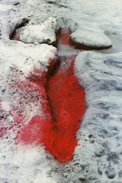 Ana Mendieta, Earth