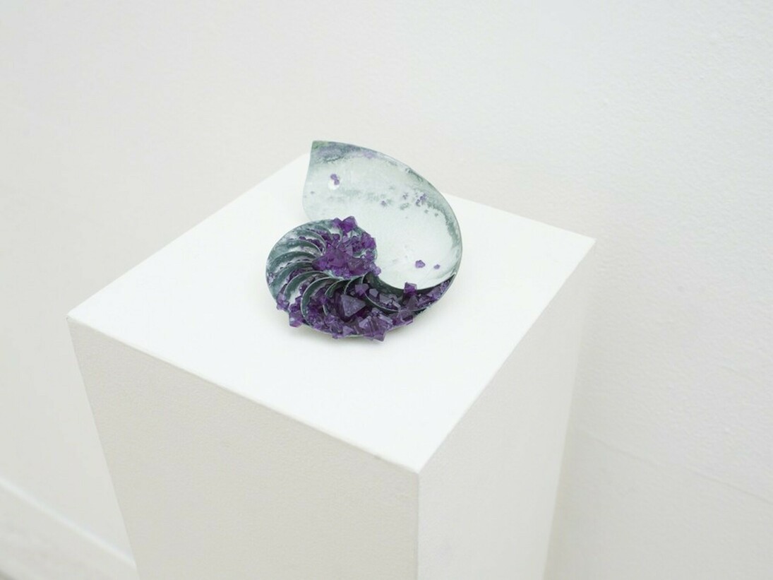 Lush Life, Exhibition view. Courtesy of Hashimoto Contemporary