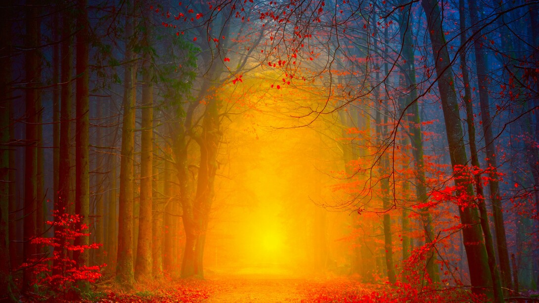 Amanecer de sol y corazón