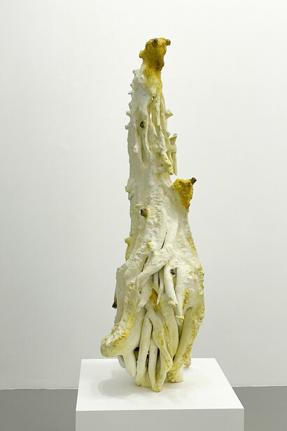 Adaptations, exhibition view. Courtesy of Bruno David Gallery