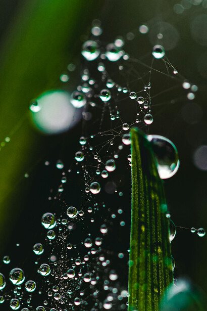 Nel monde molte persone stanno cercando di impossessarsi di riserve d’acqua a danno di chi è più svantaggiato