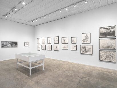 Jim Shaw, Drawings, exhibition view. Courtesy of Gagosian Gallery