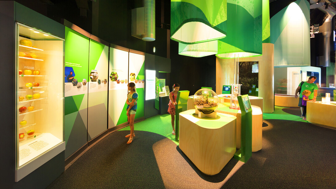 Think ahead, exhibition view. Courtesy of Scienceworks