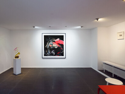 Verschiedene künstler, La vie en rose, ausstellungsansicht. Mit freundlicher genehmigung der Galerie Luisa Catucci