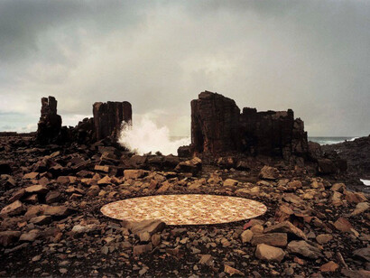Rosemary Laing, groundspeed (Harrogate flower) #10, 2001. Courtesy of Galerie Lelong