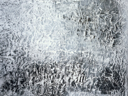 Vicky Colombet, Earth Series #1262, 2007 (detail)