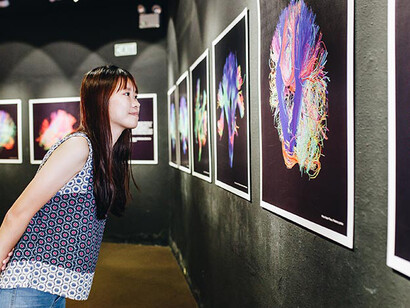 Tuning In: Brain and Body. Courtesy of Science Centre
