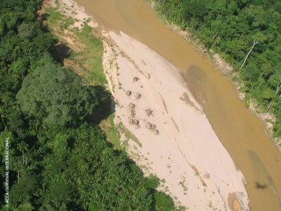 Le are abitate dalle tribù incontattate del Perù sud orientale sono state invase da taglialegna che hanno introdotto malattie letali, provocando la morte di molti indigeni.Fotografia © ACCA/Survival International.