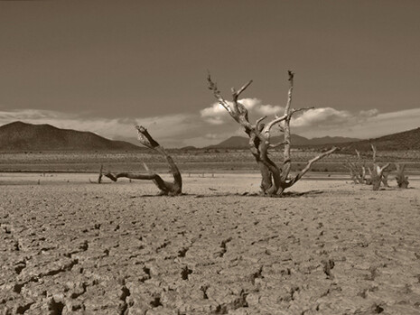 La mayoría de las metas concretas del ODS-2 son seguramente inalcanzables debido, precisamente, al cambio climático en el que estamos inmersos