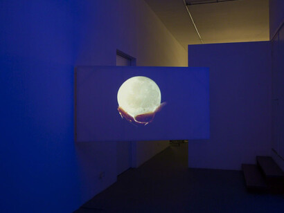 Towards the last Unicorn. Courtesy of 55SP	
