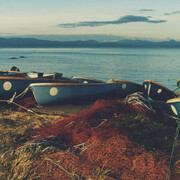 Koji Onaka, Aomori Natsudomari (detail), 2021. Courtesy of Blue Lotus Gallery