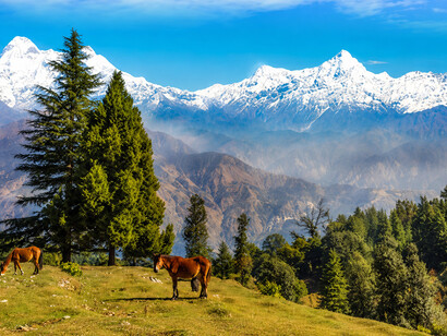 Located in Pithoragarh District India, Munsyari is both a municipal and administrative centre, as well as the name of the broader regional tehsil and sub-division
