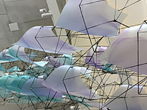 Hedge. Courtesy of CAM