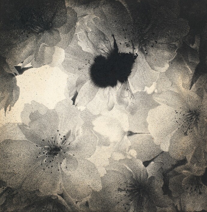 Sarah Gillespie, Sweet Disorder, 2014, Watercolour and Charcoal on 638gsm Saunders Waterford Paper, 14 x 13.5 inches (35.5 x 34.5 cm)
