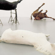 Sanguine/Bloedrood. Courtesy of M HKA