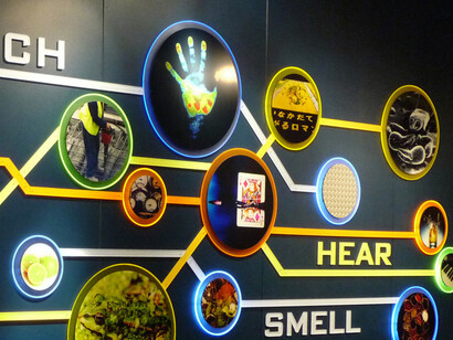 Take a Closer Look. Courtesy of Museum of Science 