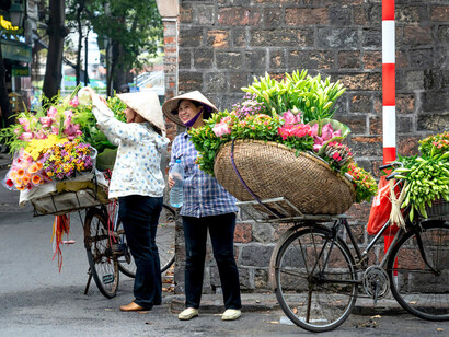 Dans le silence des marchés, les fleurs murmurent des histoires anciennes, comme ces prénoms donnés avec soin, ceux de Kim Chi et de ses sœurs, où chaque pétale devient mémoire