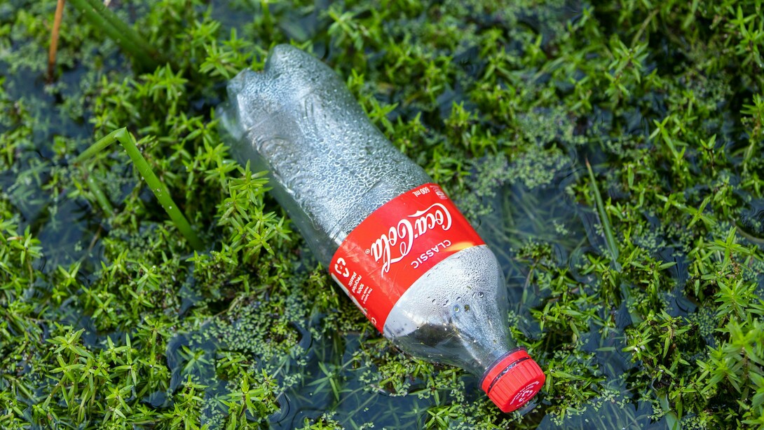 Bottiglietta di Coca Cola, rifiuto abbandonato in natura