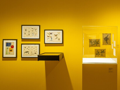 Ján Švec, Like real, exhibition view. Courtesy of Danubiana