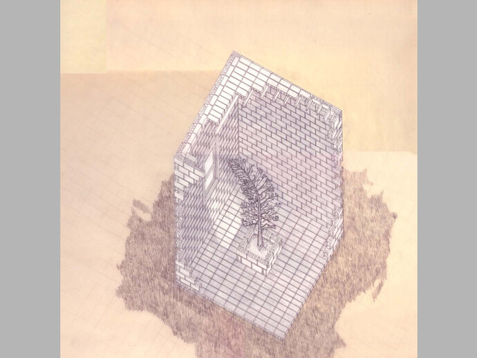 Allan Wexler, Tree-window in block