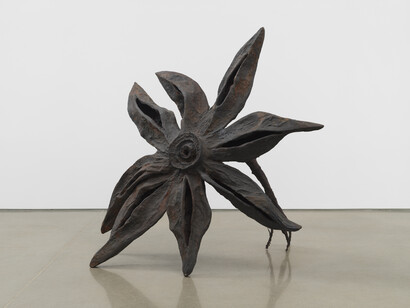 Ming Fay, Anise, 1989. © Ming Fay, Courtesy of the artist and kurimanzutto
