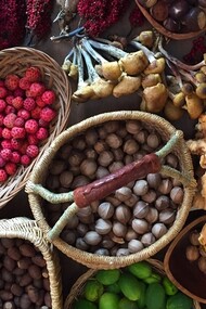 Wild foods