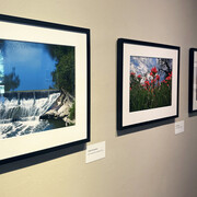 River clicks, 2024 award winners, exhibition view. Courtesy of Witte Museum