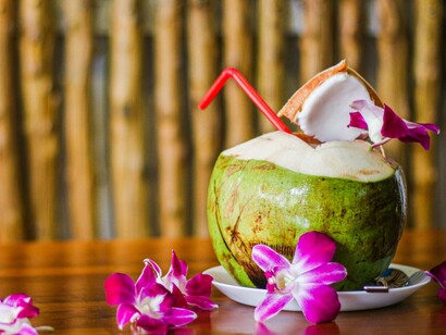 O coco fresco, acompanhado pelas flores tropicais, transforma uma simples pausa à beira-mar em uma experiência visualmente delicada. Em Maragogi, a paisagem paradisíaca se estende para além da praia e encontra-se também nos pequenos momentos de descanso vividos durante a viagem