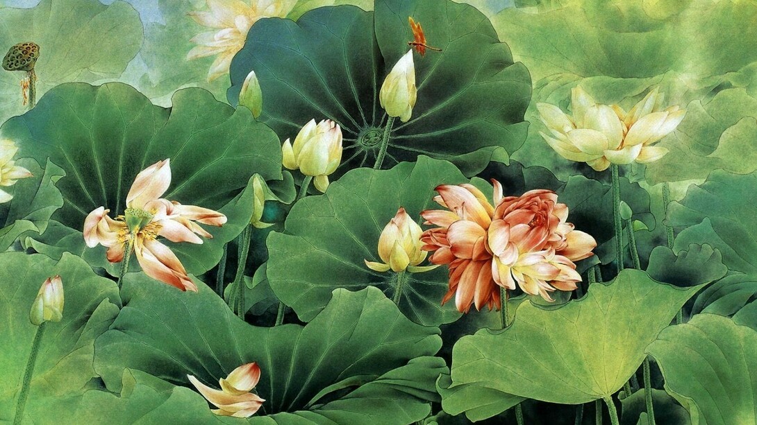 Lotus