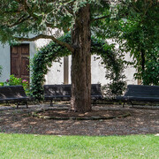 Via Fratelli Bandiera 24. Courtesy Interno Verde