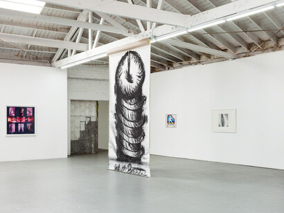 Cunt, Exhibition view. Courtesy of Venus