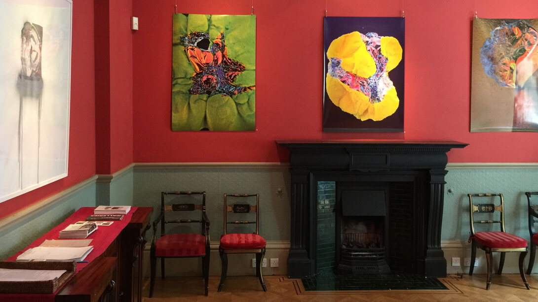 Matt Gee, installation view of Nutri-Artifice