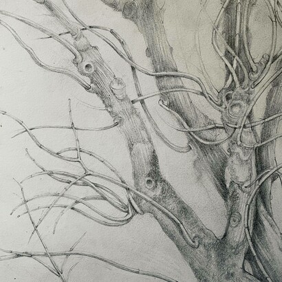 Le figure mi pongono domande, disegno di Mariella Busi de Logu