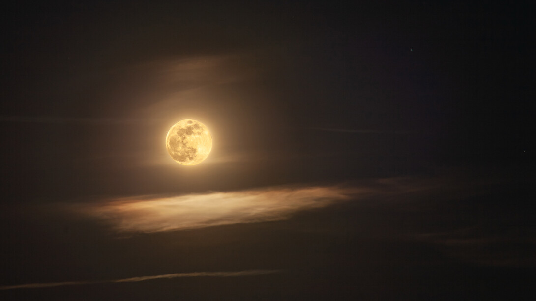 La luz de una nueva luna llena iluminaba con su albura todo a su alrededor