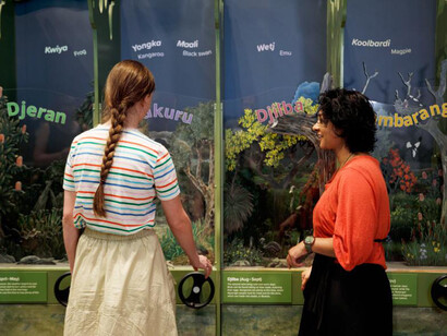 Ngalang koort boodja wirn, exhibition view. Courtesy of Western Australian Museum