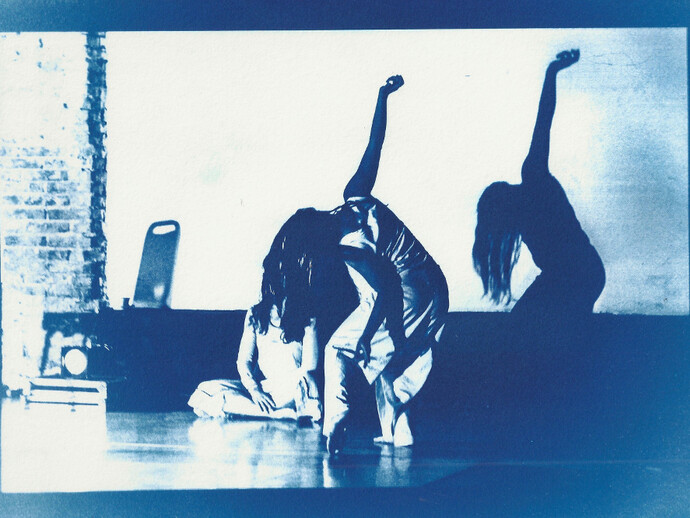 Blue print, cianotipia e foto di Laura Bertazzoni