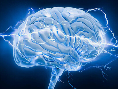 Cuanto mayor es la diversidad de estímulos, más acertados se vuelven los procesos cognitivos