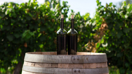 Two glasses of wine resting on a wine barrel amidst the vineyard