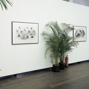 Marcel Broodthaers. Courtesy of Hauser & Wirth