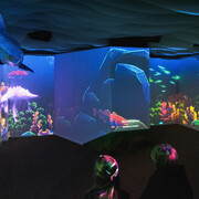 Maria the Sturgeon’s dream, exhibition view. Courtesy of Estonian Natural History Museum