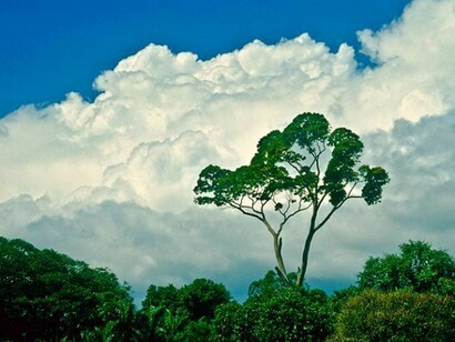 Sri Lanka landscape