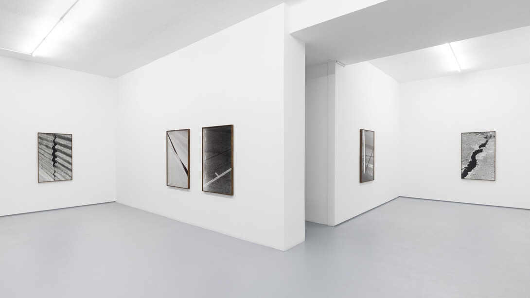 Tito Mouraz, Selva oscura, exhibition view. Courtesy of 3+1 Arte Contemporânea