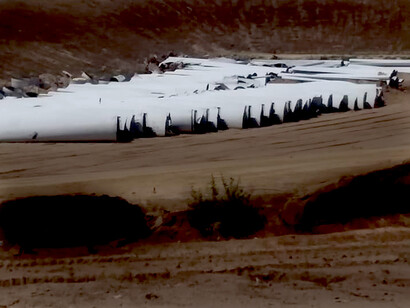 At the end of their lifecycle, wind turbines do not biodegrade