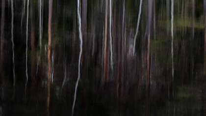 Reflection of the Unlimited, ph. Michael Stillwater