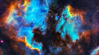 La consciencia es fundamental