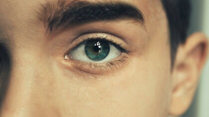A person with blue eyes. What one sees is what one sees when one perceives what is evidenced
