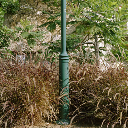 Corrine Silva, Untitled 002 from Gardening the Suburbs, 25 x 25 cm, c type print © Corinne Silva 2014