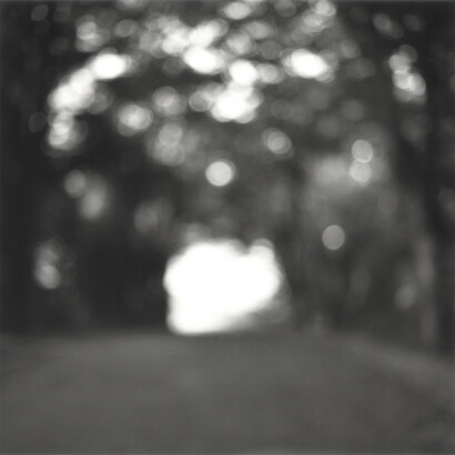 Kirk Palmer, From the series Precious Fragments, 2014, b/w selenium toned silver gelatin hand print © Kirk Palmer